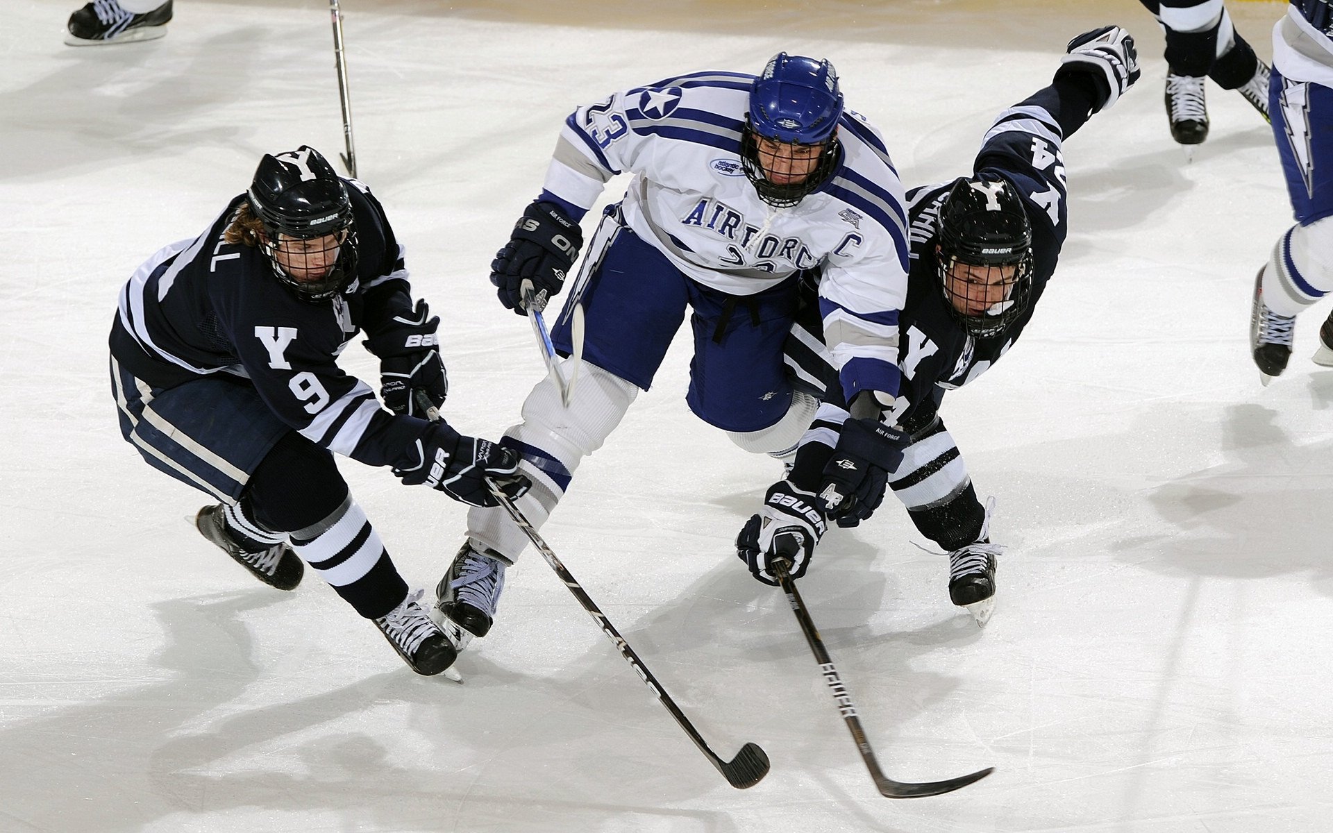 自由泳接力奥地利惊险晋级，自由泳接力破纪录
